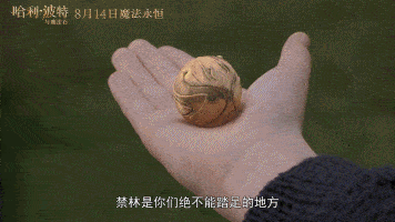 小时候常常幻想拥有的飞天扫帚存在于魔法世界的巨怪和神奇动物那些