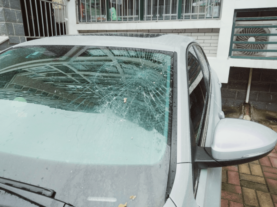 潍坊一小区天降半个桃砸碎车玻璃!