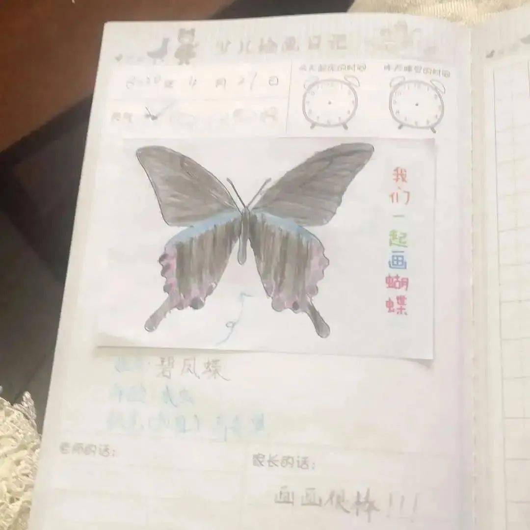 三年级昆虫仿写蝴蝶图片