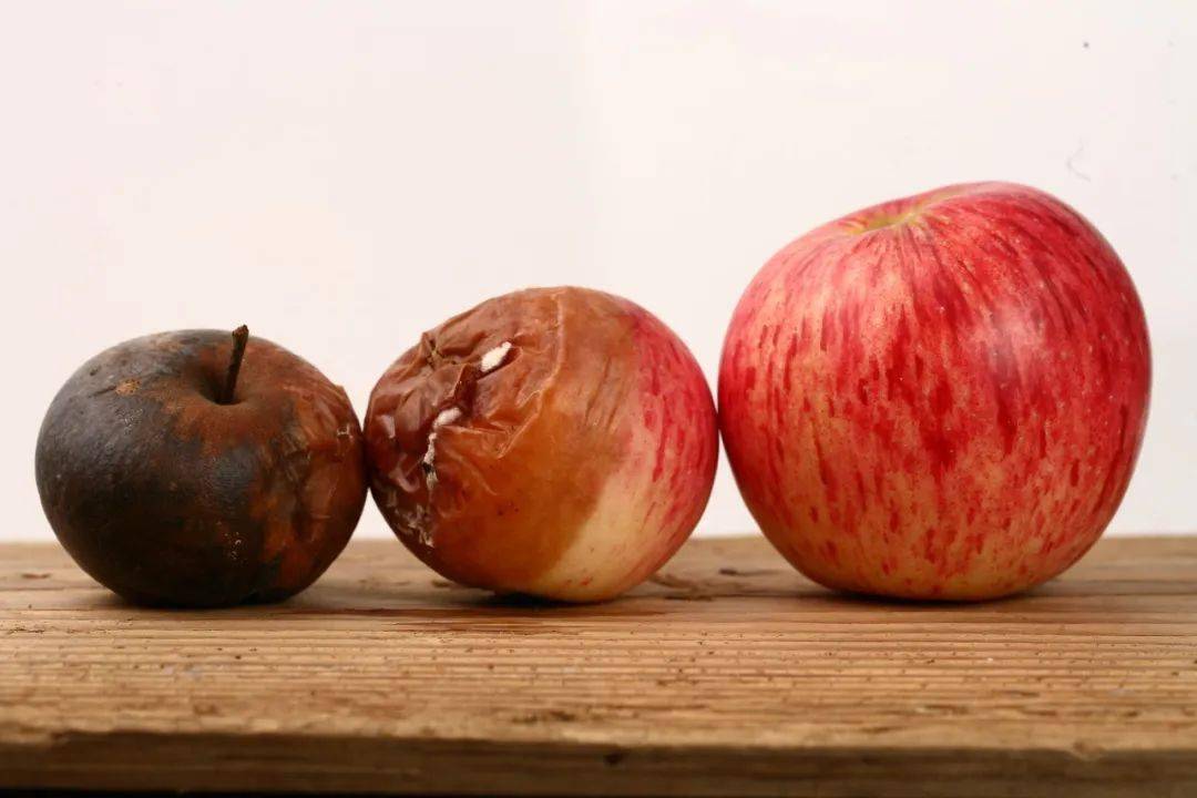 赵丽颖吃了颗坏桃结果拉肚子了所以只坏了一点点的水果就只能扔掉了吗