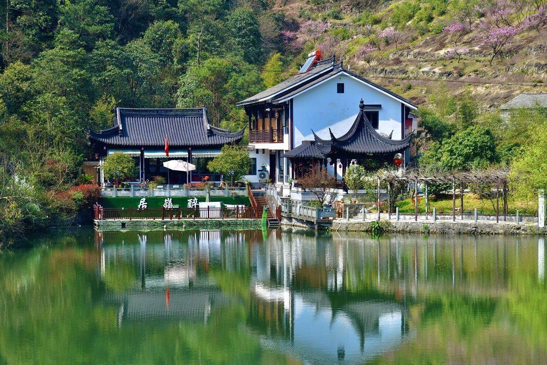 d2:舜姬葡萄园金渔湾农庄(午餐)石苍山·隐(午餐)稽东镇大桥村海丰