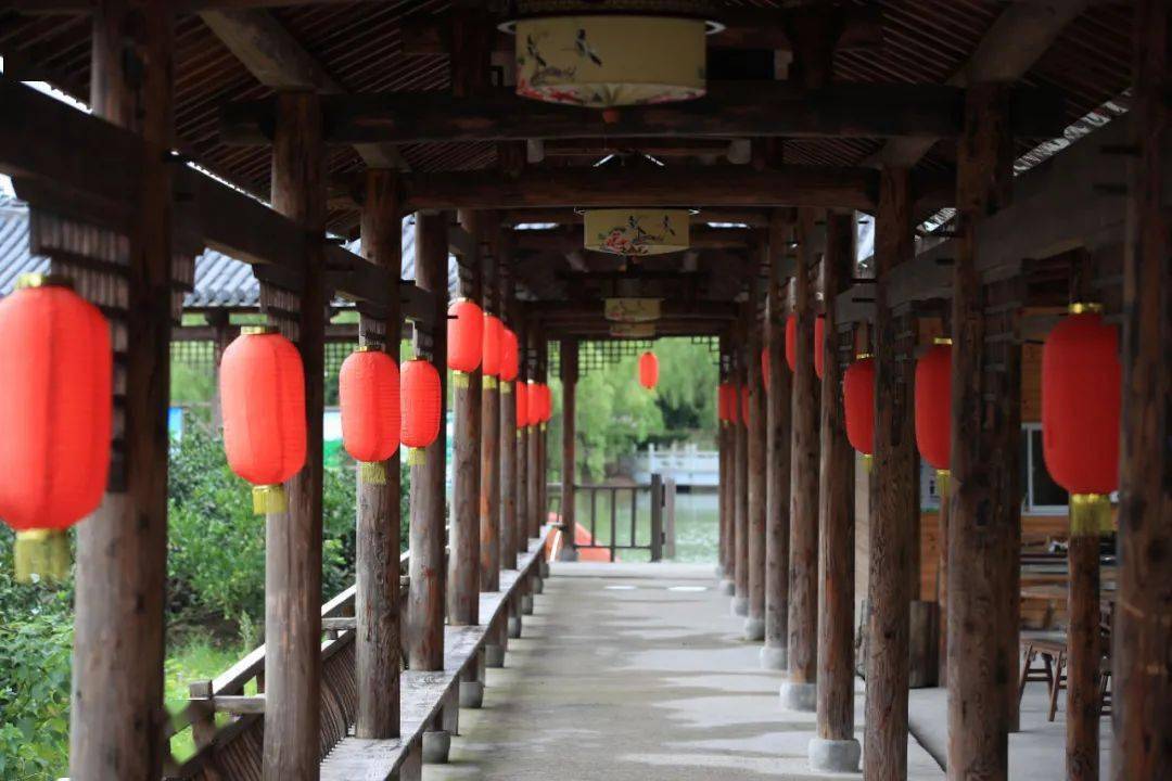 来宁波这座古村避暑,别错过透骨新鲜的蛤蜊,梭子蟹.