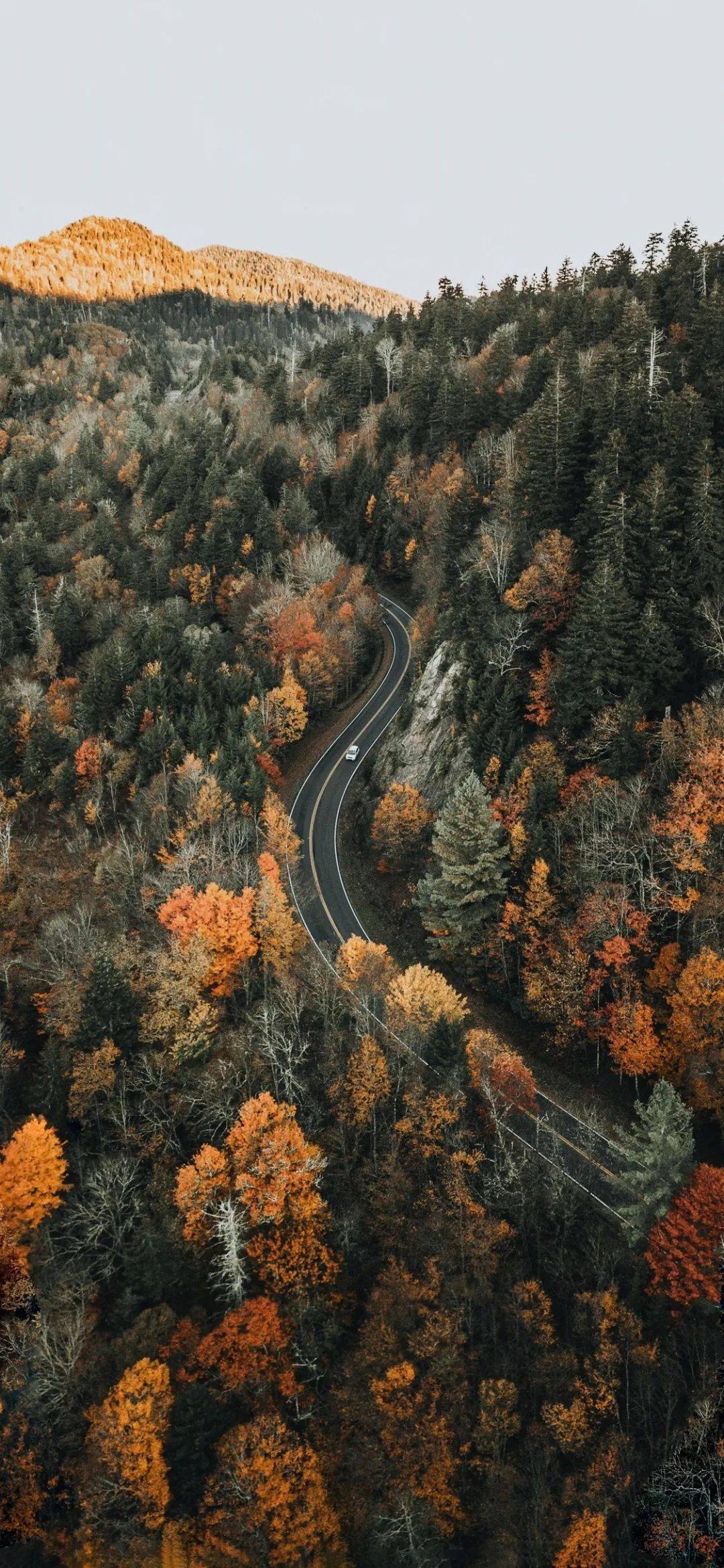 高清壁纸抖音全面屏壁纸锁屏