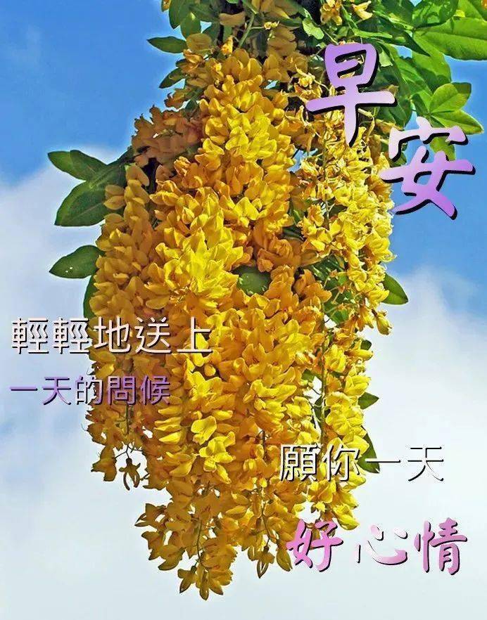 清晨温暖问候早上好图片温馨祝福语录特别漂亮的早晨好图片暖心问候