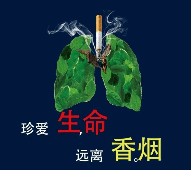 健康科普!吸烟对身体健康的危害!-搜狐大视野-搜狐新闻