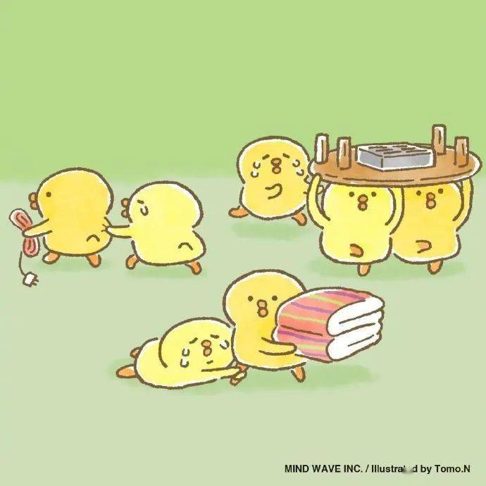 超治愈的小黄鸡太可爱啦