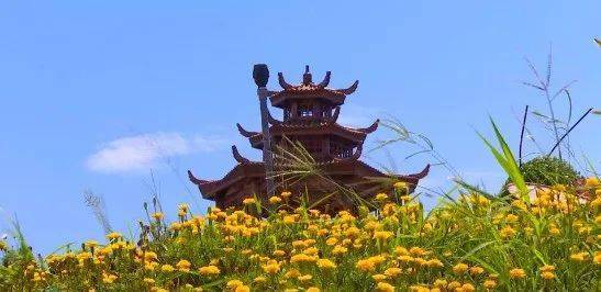 通山王明璠花海项目建设提速