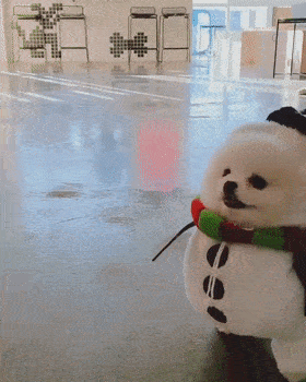 给小博美买了雪人装后,网友都被萌化了:这不就是雪宝本宝?