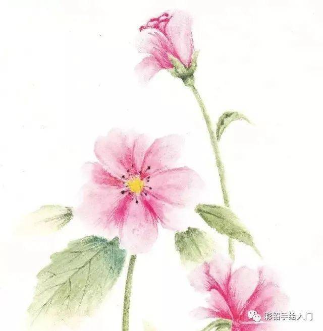 水溶彩铅怎么用?水溶退晕法的案例分析,水溶彩铅晕染小技巧