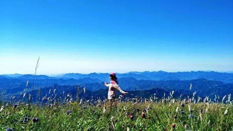 文旅速遞北京衛視我的桃花源房山特輯與您相約七夕明晚2150不見不散