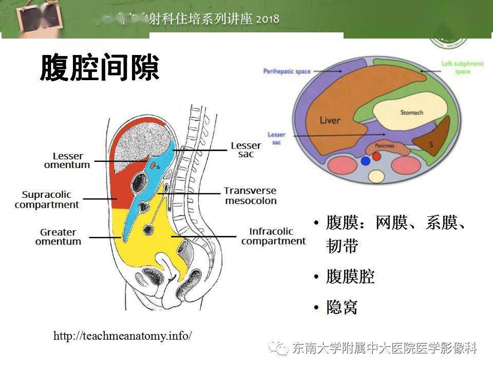 師說中腹部基於器官和影像特點的鑑別診斷