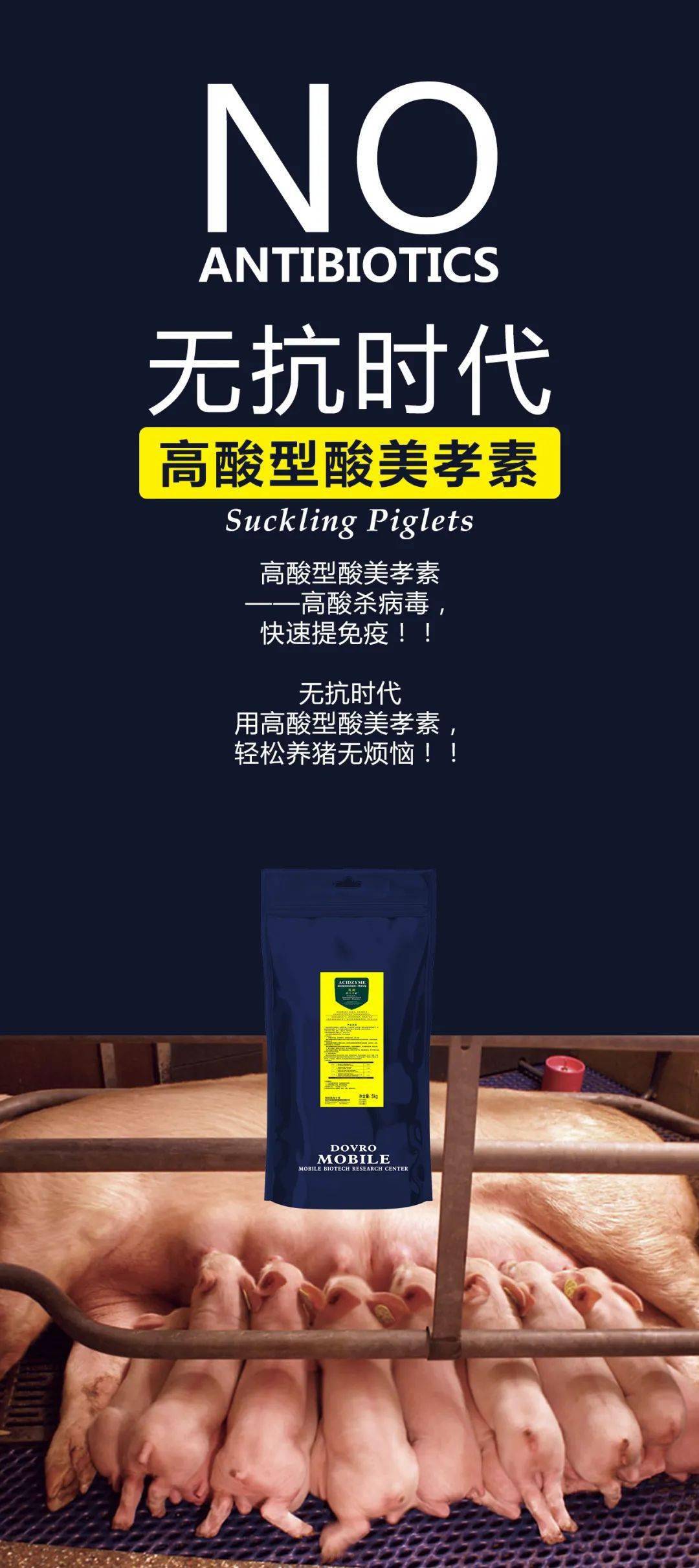 大飞龙无抗养殖之免疫力提升篇——高酸型酸美孝素