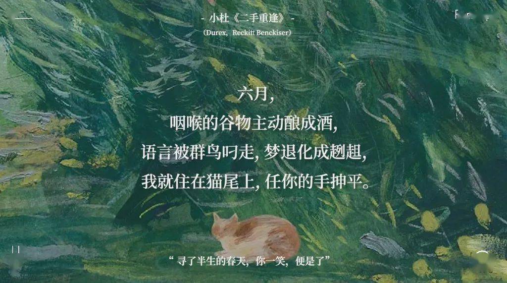 via@一个爱吃的猪杜蕾斯文案合集一起来欣赏下