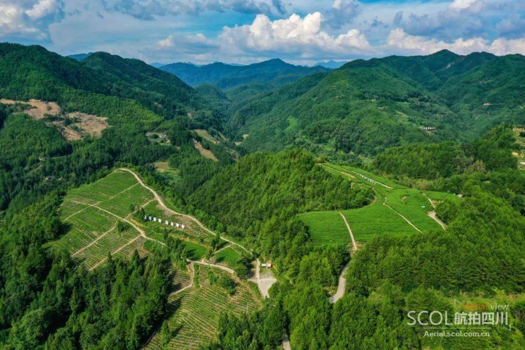 镜观百县千村行⑧万源市石塘镇