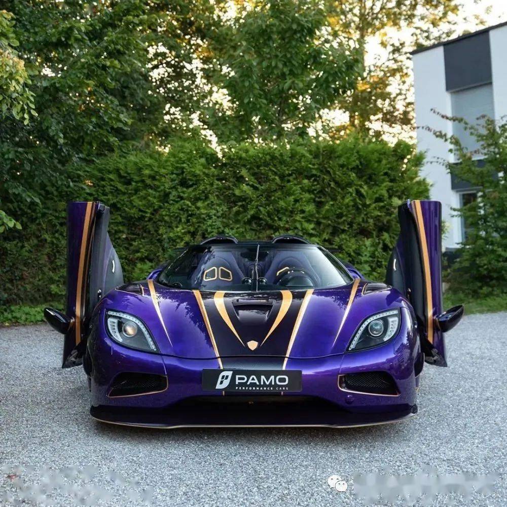 土豪晒柯尼塞格和拉法两大座驾,这台紫金色尼塞格价值3600万_搜狐汽车