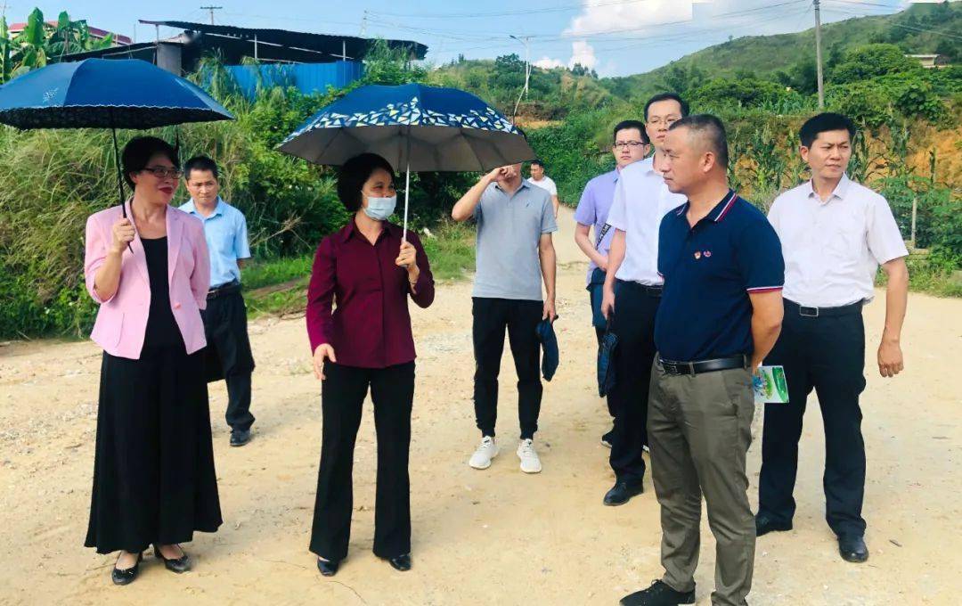 农卓松实地巡查木梓镇莲子村双边滩非法采砂点整治