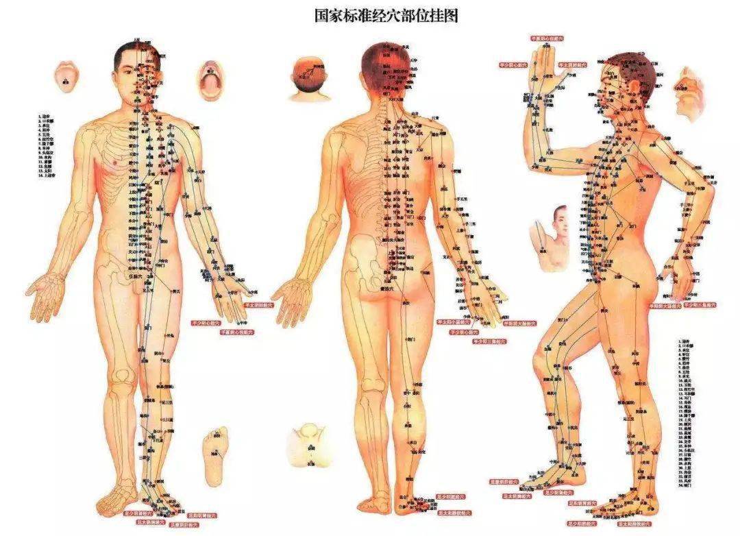 针灸具有疏通经络的功效,经络不通容易引起背部和腿部疼痛,四肢麻木