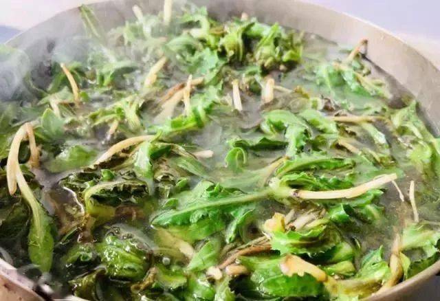 这菜农村随便吃,刮油又排毒,我家每年从春吃到夏大鱼大肉都不换_野菜