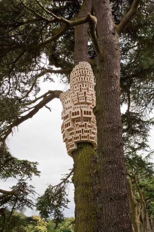 伦敦野外工作场的木头鸟舍从树干中发芽成长