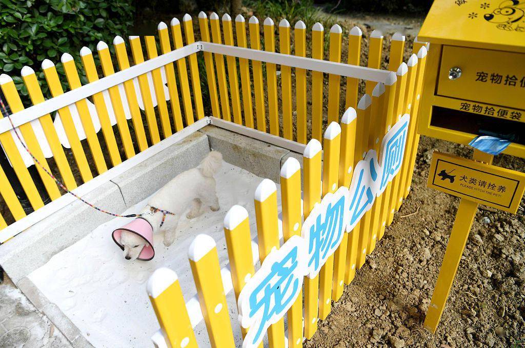 合肥:宠物公厕亮相居民小区