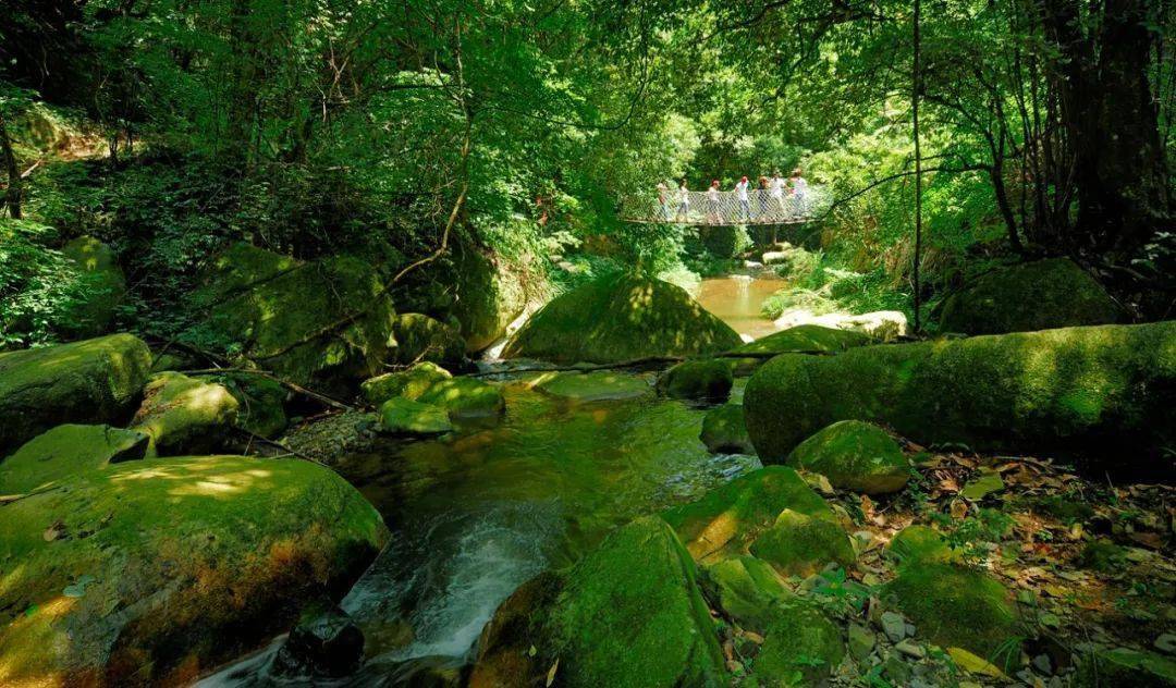 叮廬山西海向您發送了一份夏日的禮物