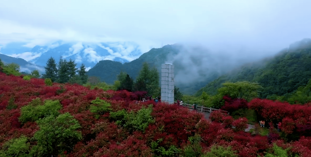古盐道镇坪古盐道已有5000多年的历史,贯穿全境153公里,是目前保存较