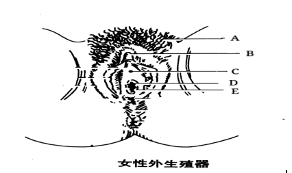 护士执业资格考试图片题专训