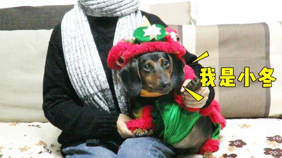 游戏陪你过大年anna和小冬给你拜年啦小冬特意穿上年兽套装