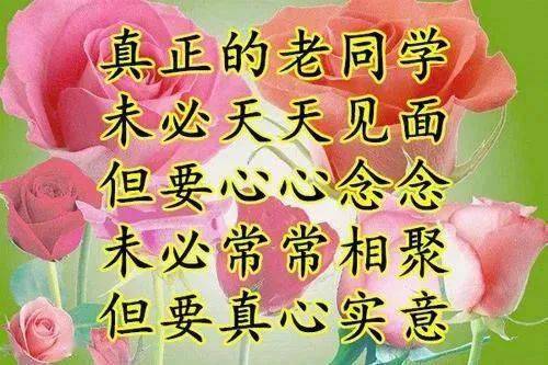 新版老同学带字图片图片