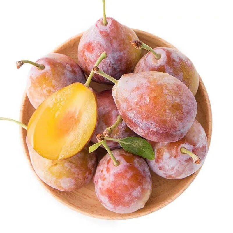 水果界的健身少女新疆西梅味甜低卡营养丰富正是尝鲜期