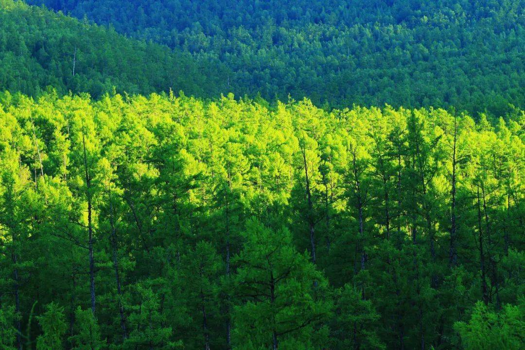 除了一大一小之外,还有与之一脉相承的外兴安岭.兴安岭