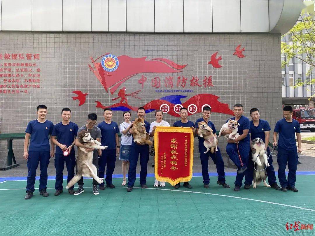 和宠物店工作人员的带领下,携"感谢救我狗命"字样的锦旗,到消防队致谢