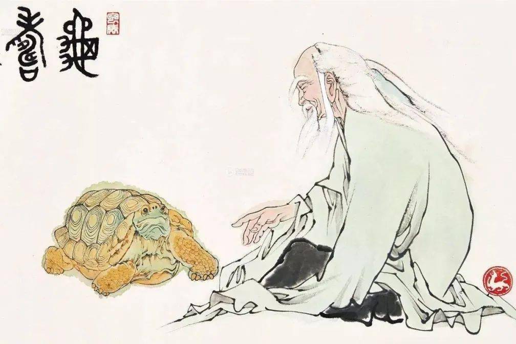 鹿、龟、鹤长生的奥秘｜精气神-搜狐大视野-搜狐新闻