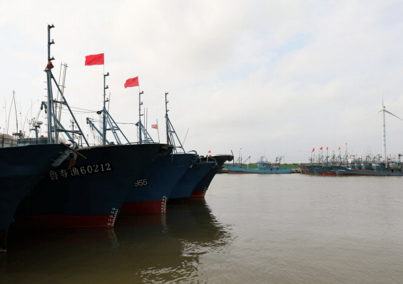 寿光开海啦螃蟹爬虾带鱼哈喇子一地