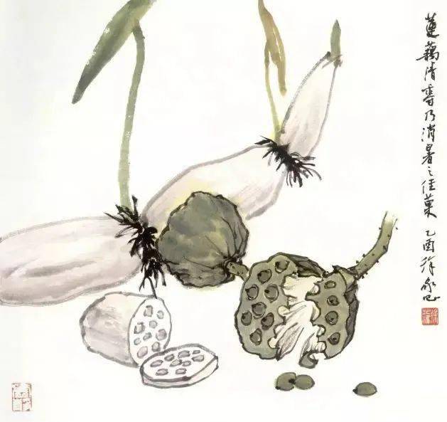 荷花画法,写意和工笔都有,看这篇就够了!