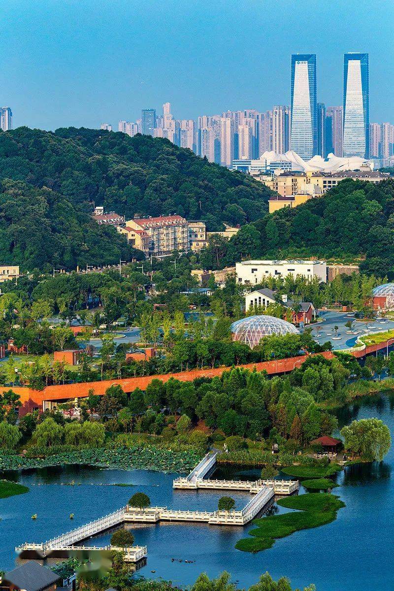 亲快来为岳麓区疯狂打call