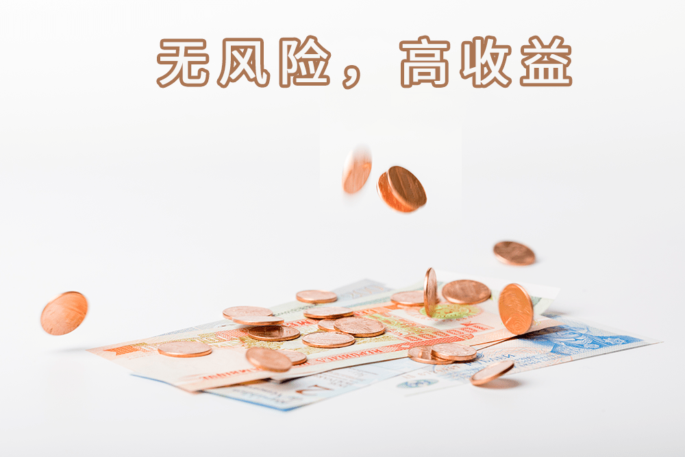 "稳赚不赔,100%本金收益保障","即投即计息,20%年息","无风险,高收益"