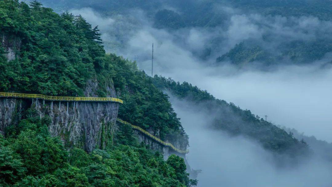 灵江源景区植被茂密,森林覆盖率达到