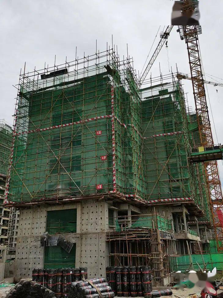 橄榄绿洲和雅工程进度播报秋意浓浓家音共鉴美好