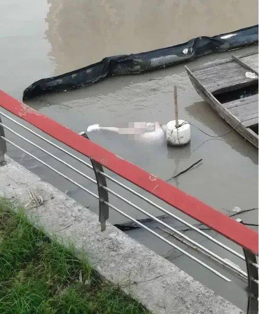 松花江浮尸图片