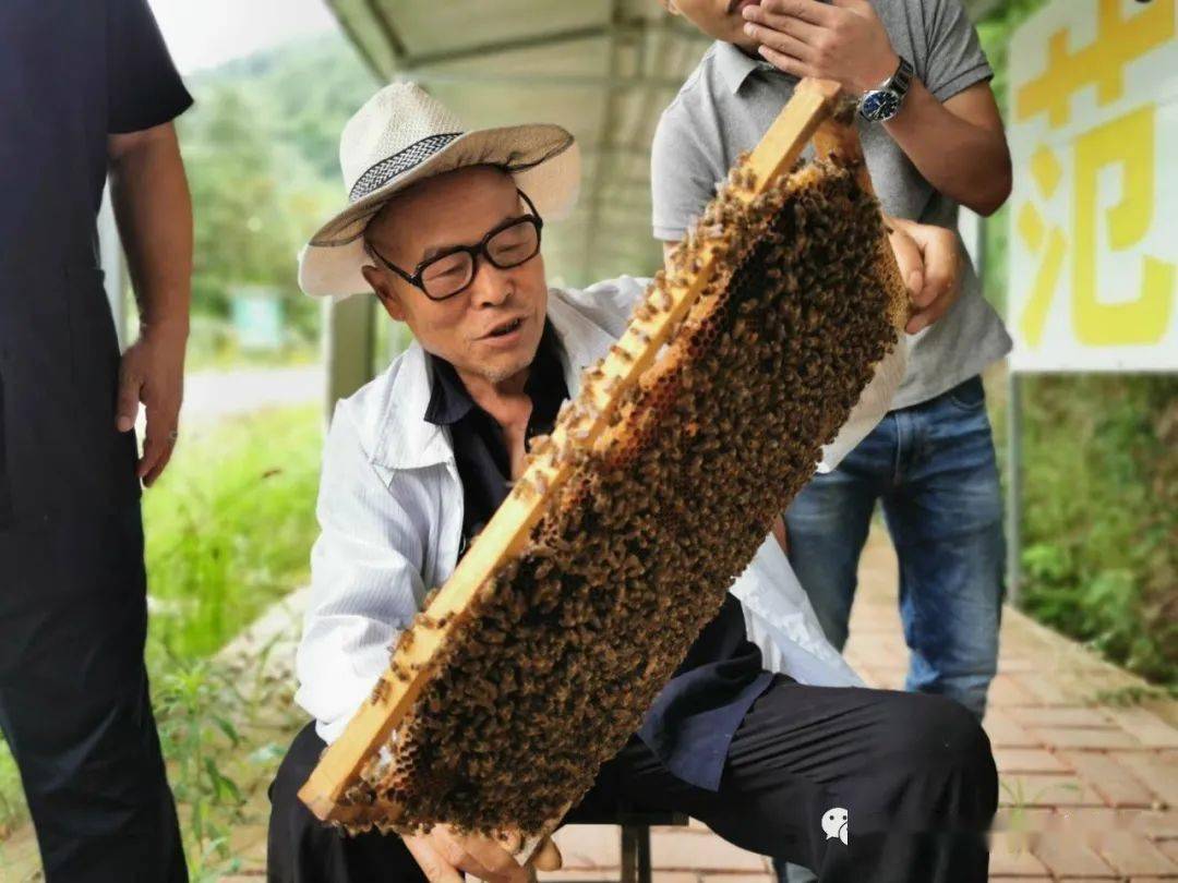 明日剧透|"社交电商"连起小农户和大市场_徐阿光