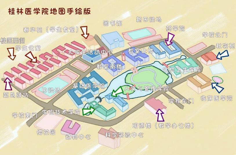 下图为桂医临桂校区地图,可以根据桂医地图走4.教学楼在哪里?