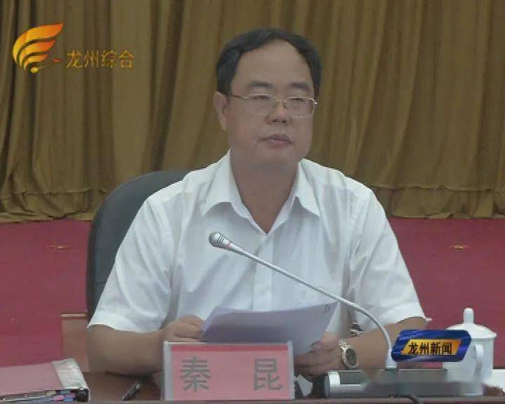 县领导秦昆,钟磊,韦学平,姚杰,黄子珍,大新至凭祥高速公路工