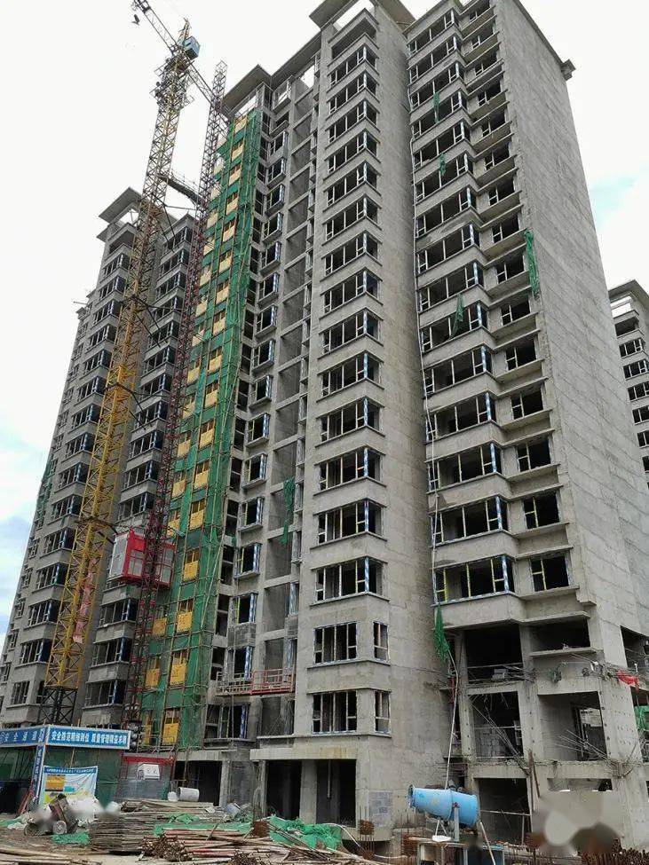 橄榄绿洲和雅工程进度播报秋意浓浓家音共鉴美好