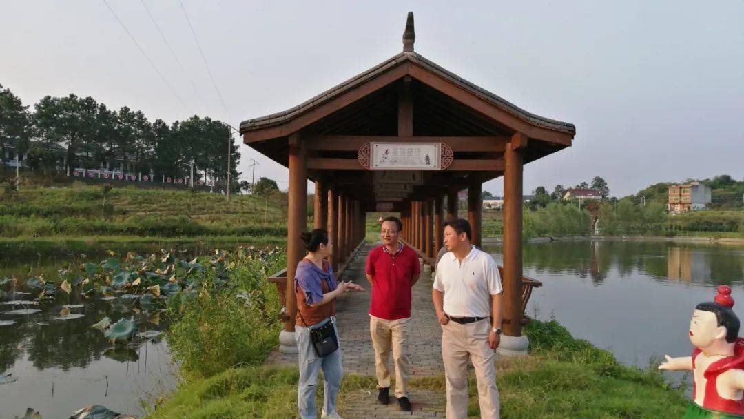 省财政厅美丽乡村验收组到彭思镇凤凰村验收美丽乡村建设