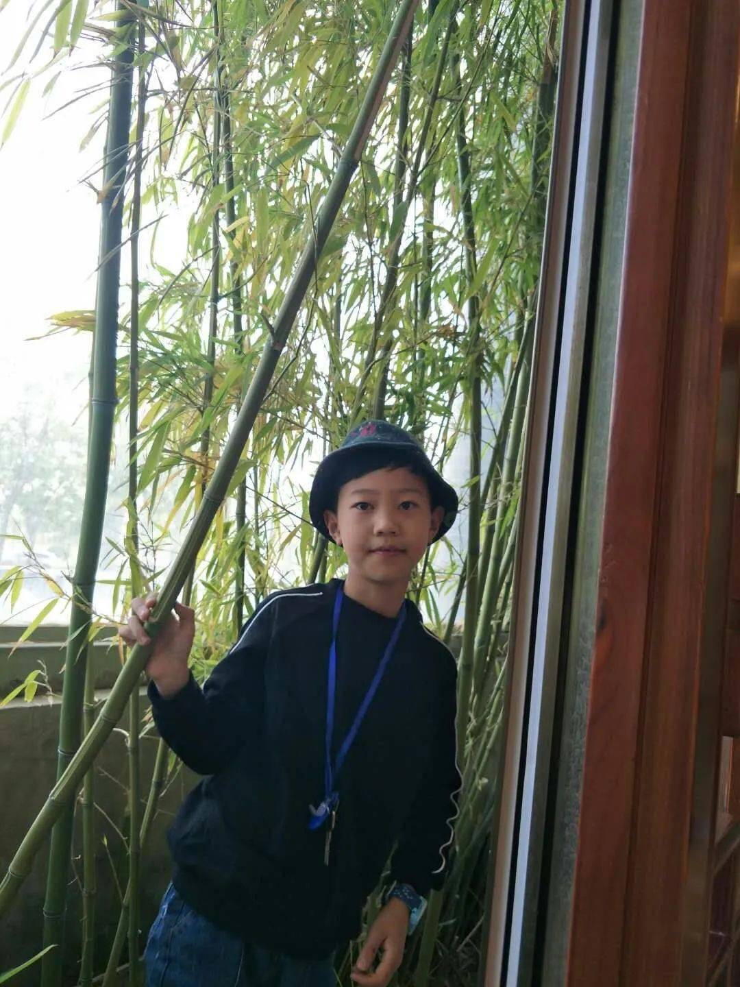 陆子琳 11岁江苏省蠡口实验小学《云岭山居》毛金烨 10岁江苏省蠡口