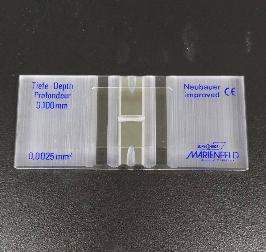 1,0650010 德国marienfeld血球计数板 neubauer细胞计数板联川生物10