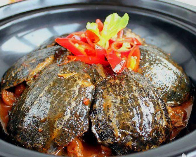 美食泰和沙鳖子