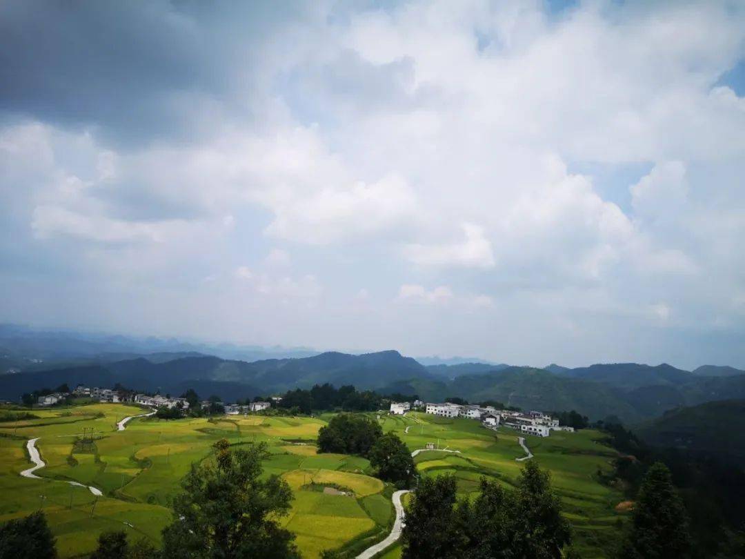 二美的诗何三坡我终于见到你了