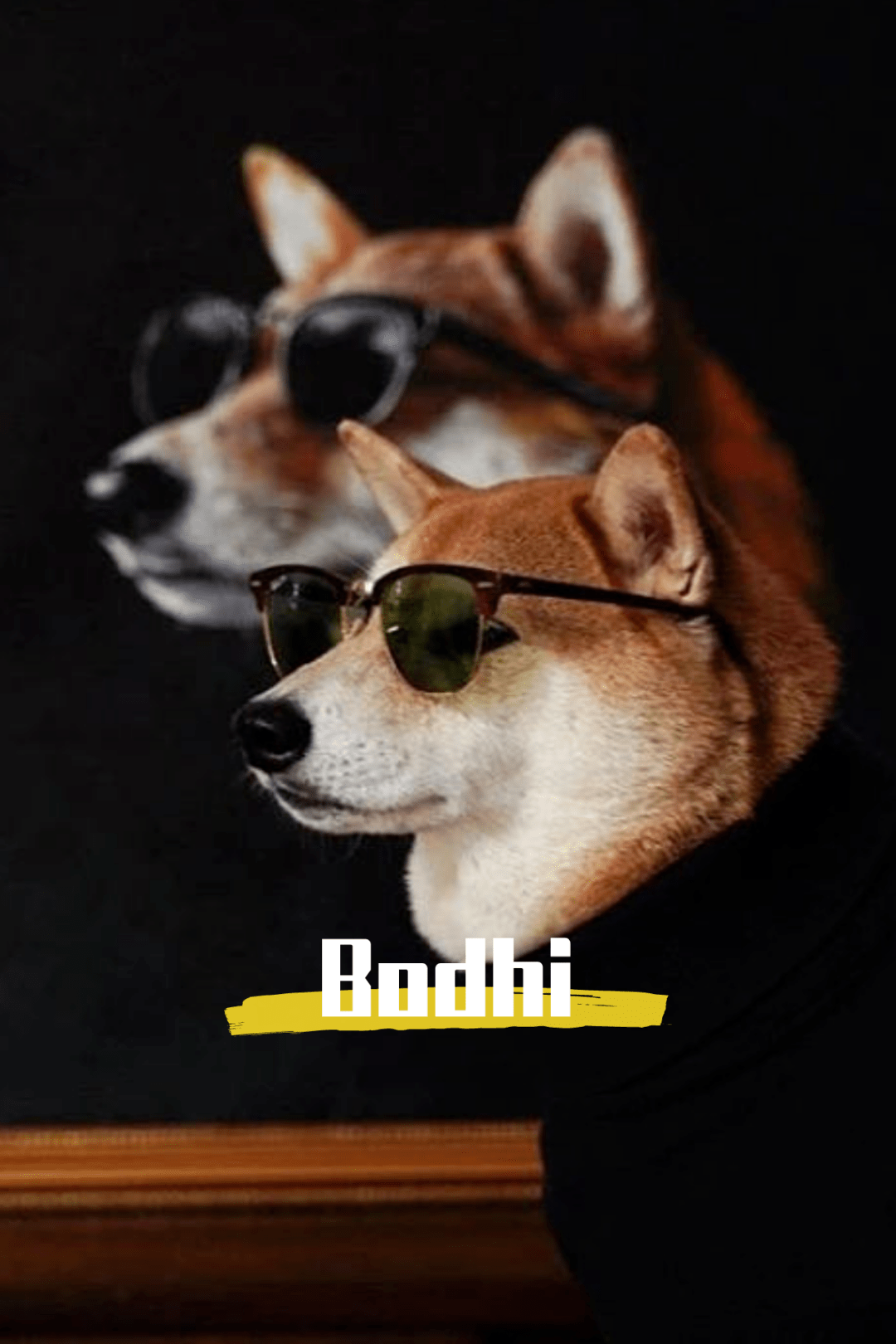 不,不难的,一只叫做bodhi